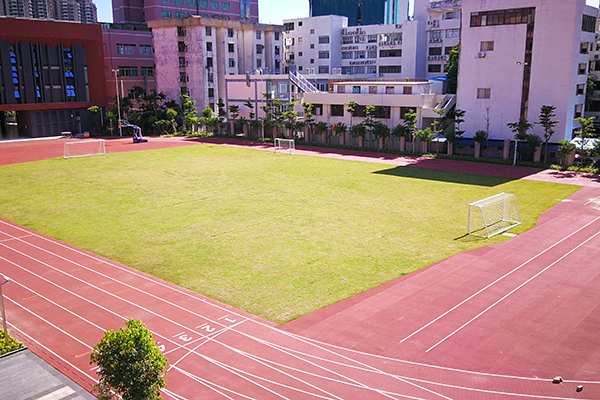 塑胶跑道类型你知道哪些？